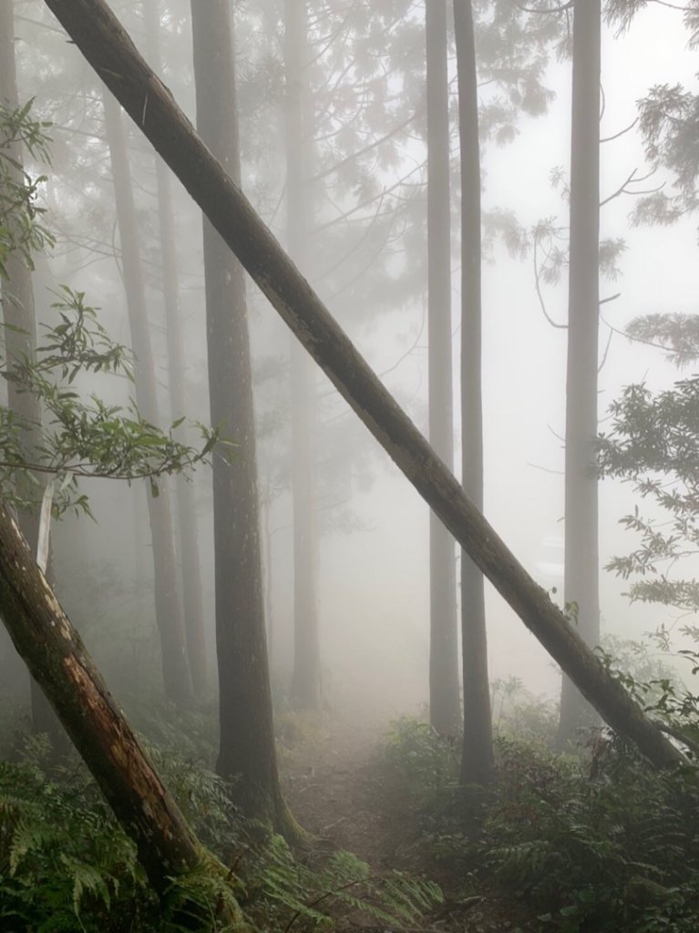 20200208_飛鳳山、油羅山_868152