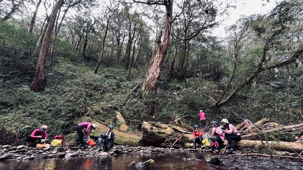 復興赫威神木_2748192