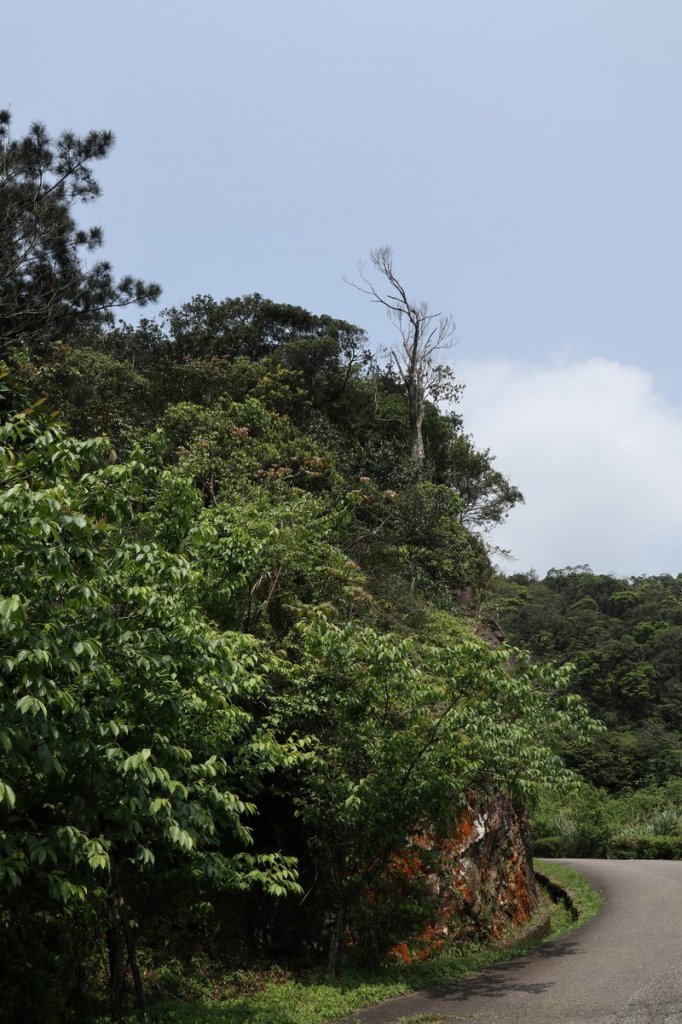 2019,03 二格風景 _553153