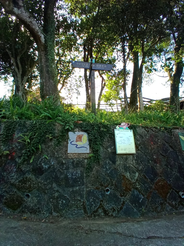 0207第七段:政大公車站至飛龍步道_1278702