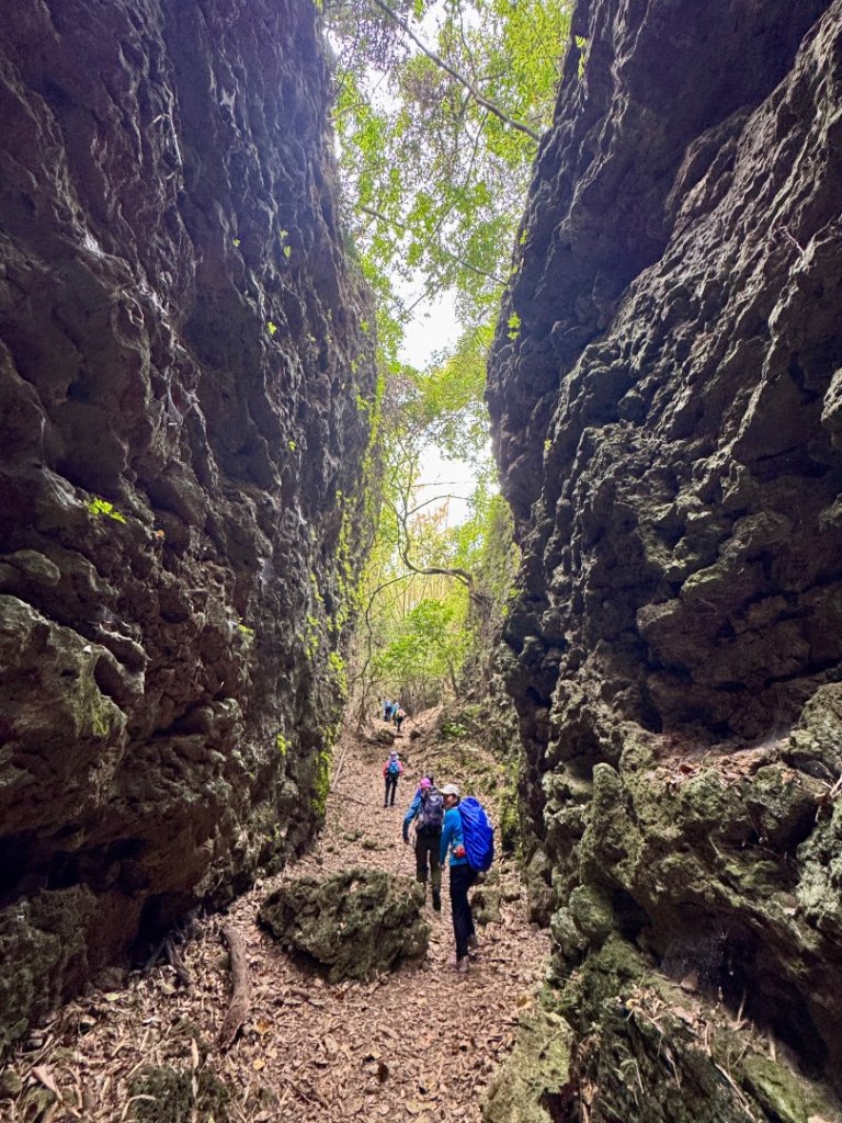 大崗山(小百岳#74)龍盤峽谷一線天_2764656