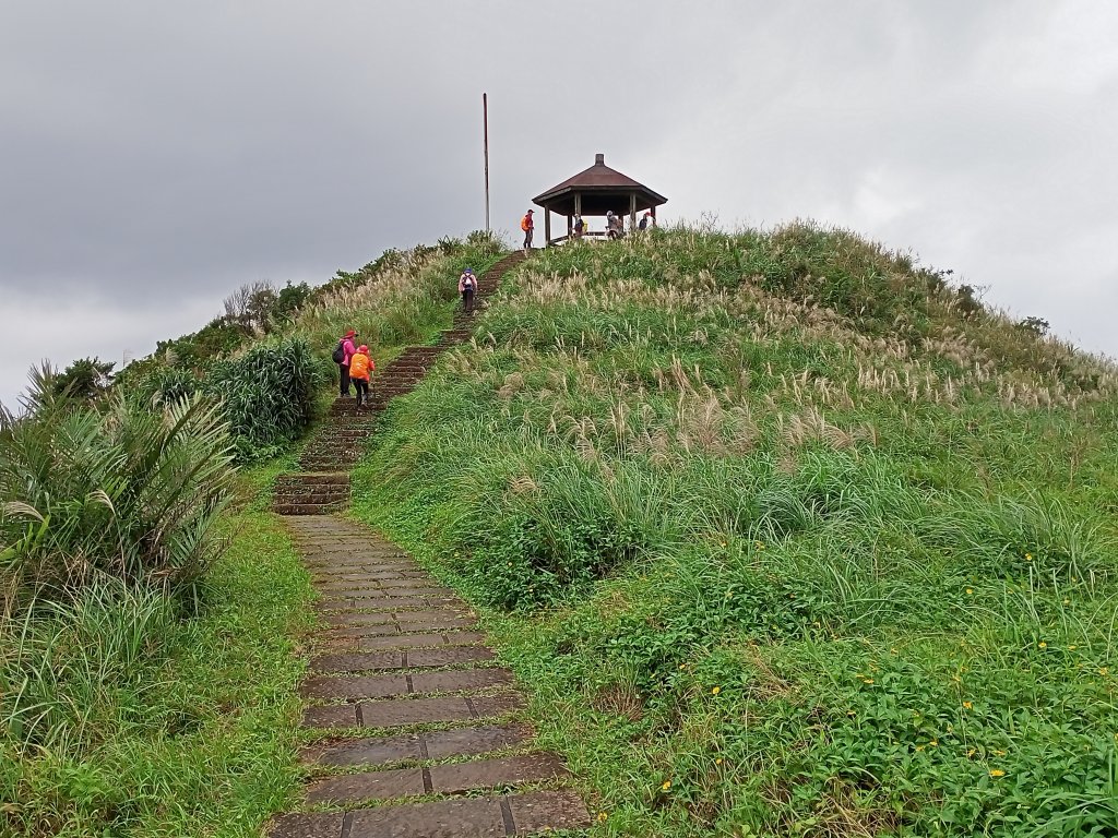 【新北-臺灣百大必訪步道】灣坑頭山→福德山→桃源谷草嶺線→大溪線→蕃薯寮山→大溪火車站封面圖