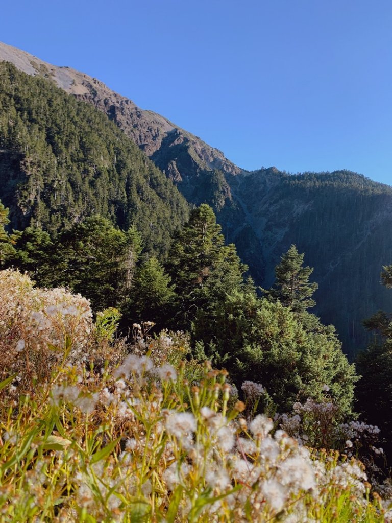 玉山主峰、玉山北峰湛藍大景_739305