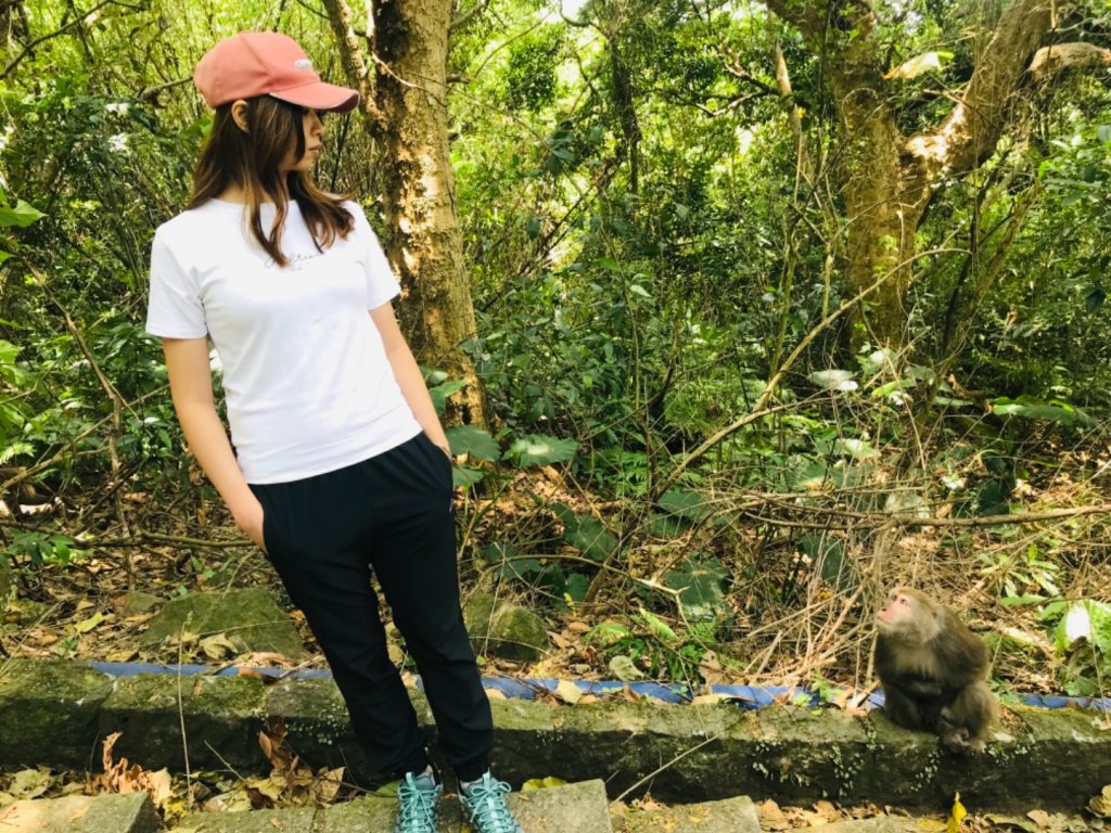 天母水管_1354732