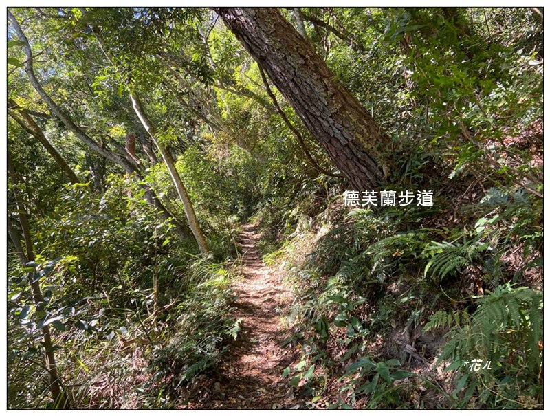 北松鶴山、德芙蘭步道 (台中 和平)_2922142