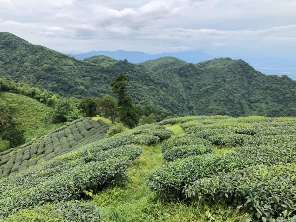 嘉義連峰獨立山大巃頂紅楠坑觀音石阿拔泉_633274