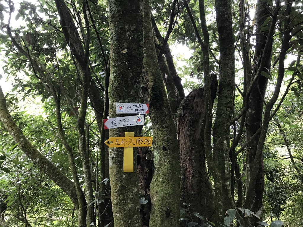 五指山之龜_915864