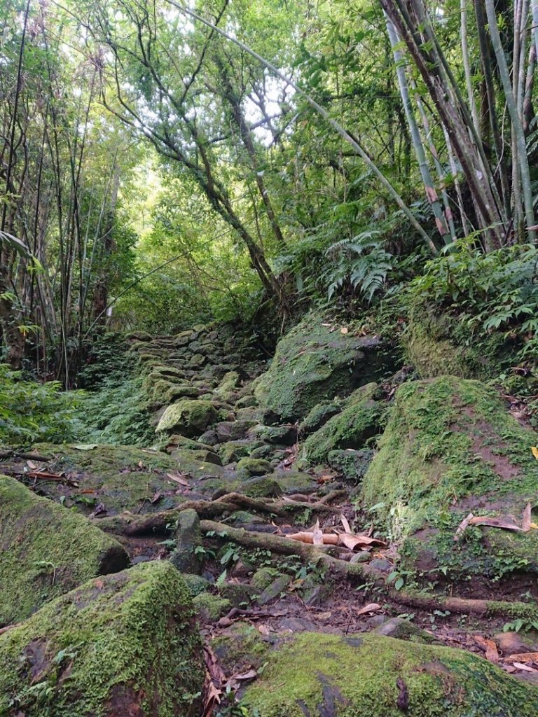 畝畝山、青林山、石古井、石硿子瀑布、石硿子古道O走_1492809