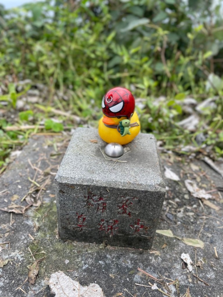 基隆尋找7隻傘人家族_2720905