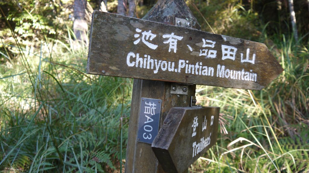 池有山單攻登山健行趣(百岳52)_1515183