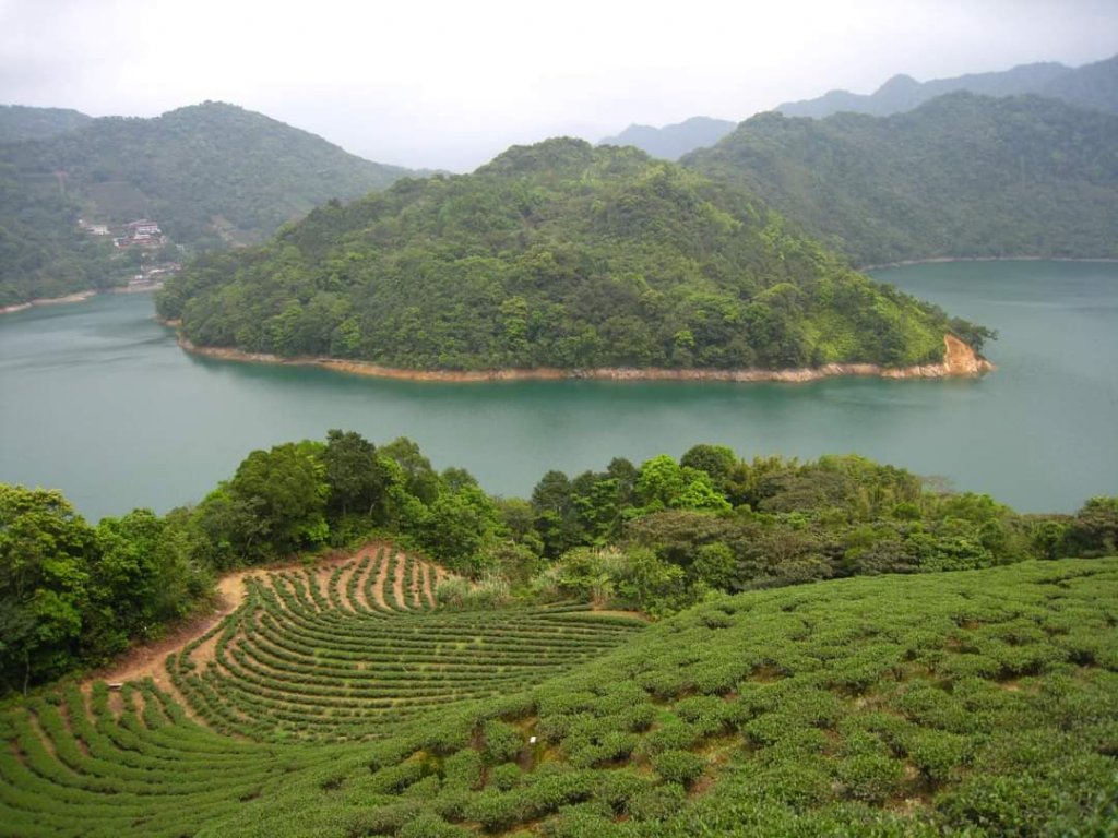 〔石碇〕鱷魚島🐊🐊🐊，晴空萬里下的萌萌淡碇鱷   最美。石碇 千島湖 土虱頭  永安景觀步道_2229696