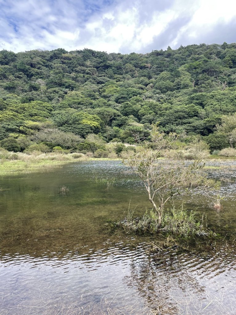 大屯西稜線_2639355