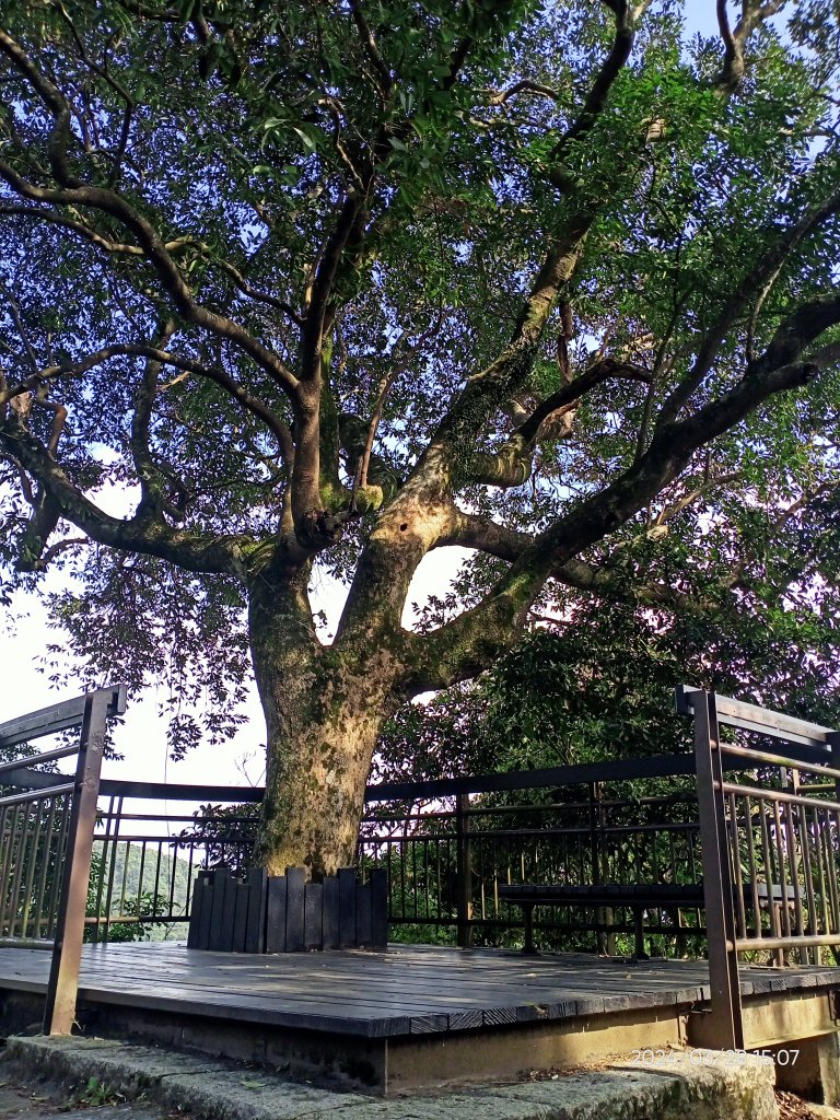 【臺北大縱走4】風櫃嘴→雙溪溝古道→五指山古道→大崙頭山北面步道→許願步道→圓覺寺步道→大溝溪→大湖_2469116