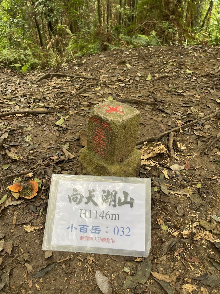 20231021向天湖山_2582944