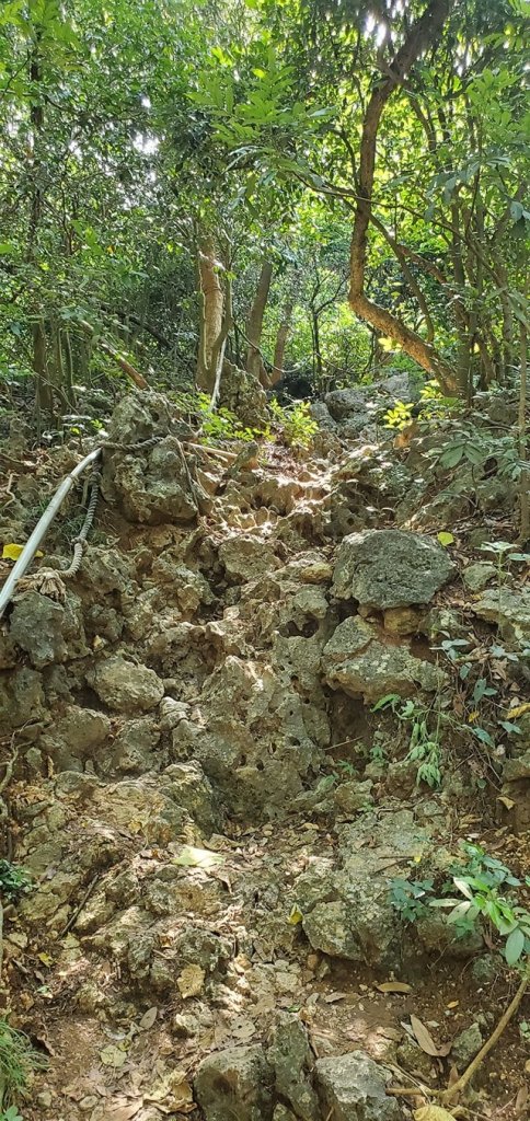 2021-07/14- 高雄鼓山區-壽山014封面圖