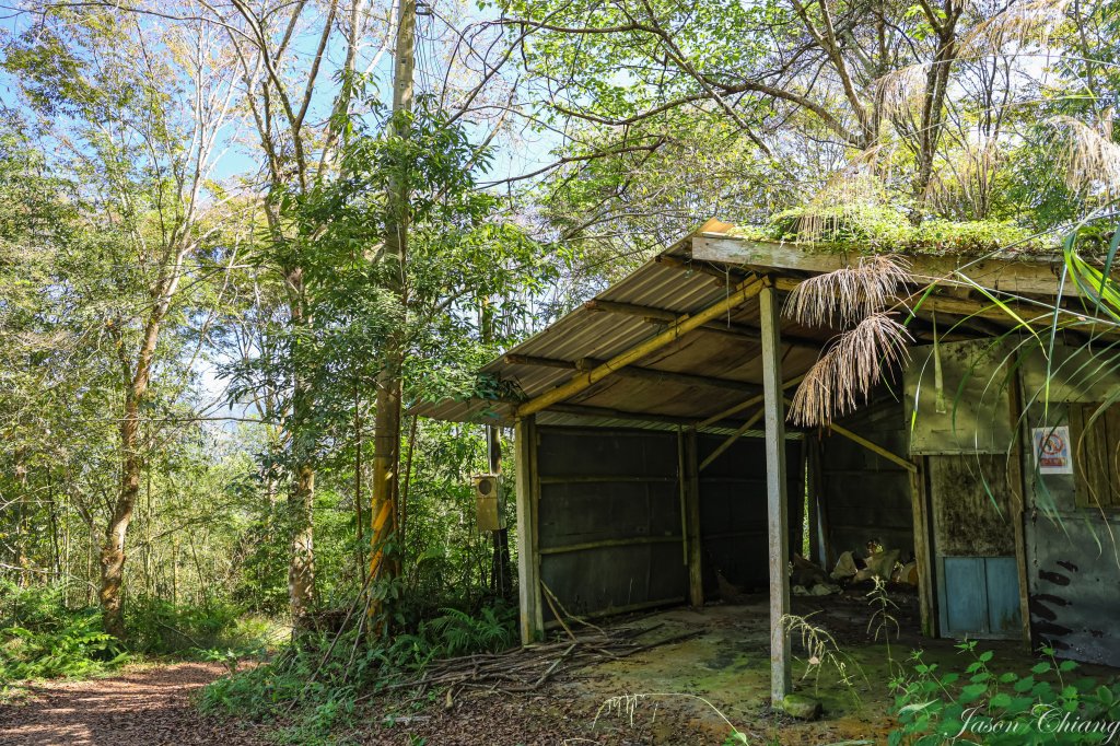 [苗栗]馬那邦山_2355208