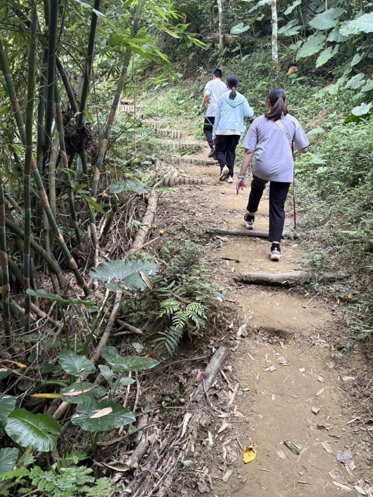 蘭潭後山步道、紅毛埤山_2924058