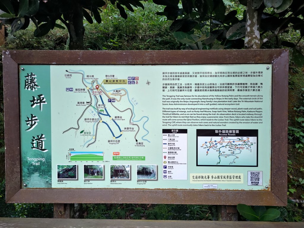 【新竹縣峨嵋鄉】藤坪步道_2833228