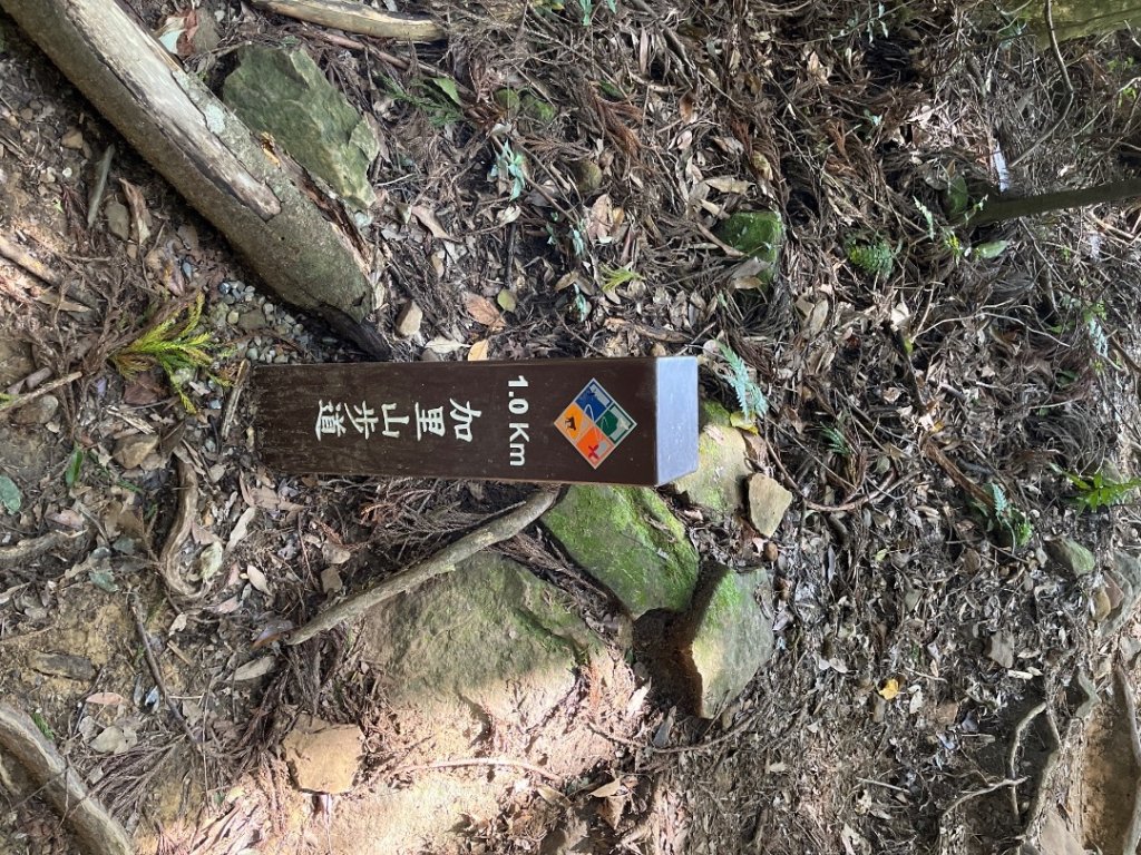 20220917_加里山（苗栗小百岳）封面圖