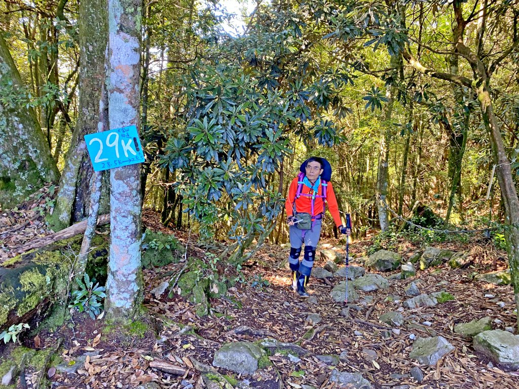 鳶嘴稍來神木、稍來山O型走2020915_1102466