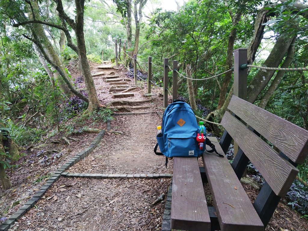 挑戰1063階的木棧階梯。 新田登山步道封面圖