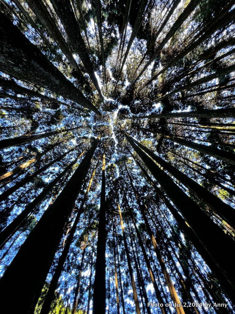 加里山好精彩_2547330