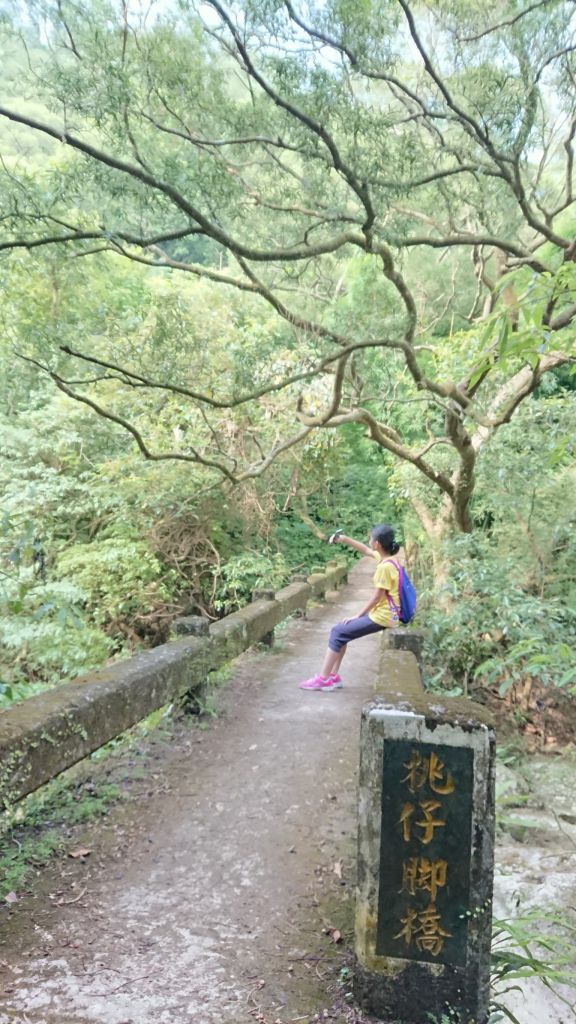 坪頂古圳親山步道_325802