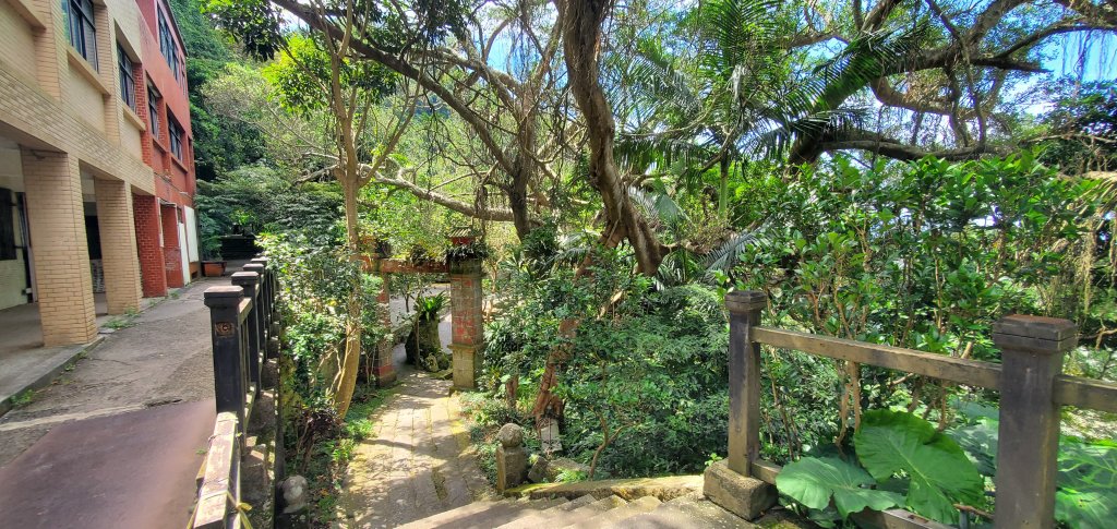 2024-06-15觀音山【福隆山、尖山(占山)登山步道】O走_2528179