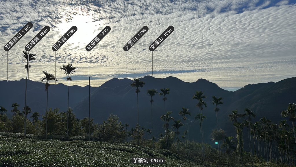 竹崎十三連峰 (阿里山四大天王越野賽路線)_1932756