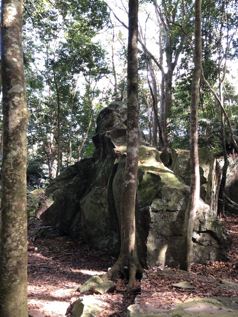 鳥嘴山_上島山231218_2464081