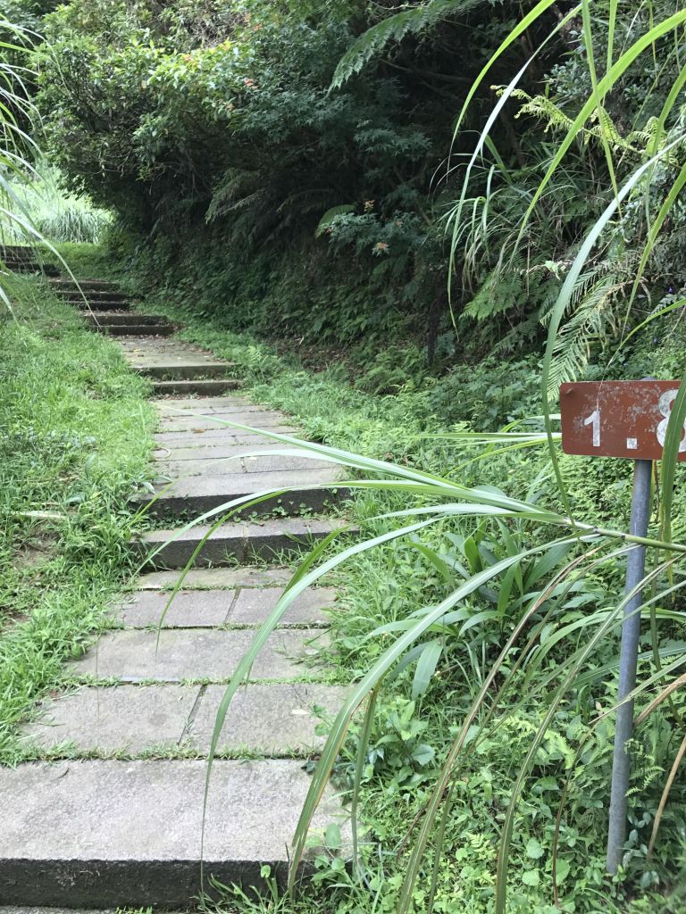 五分山氣象站_135221