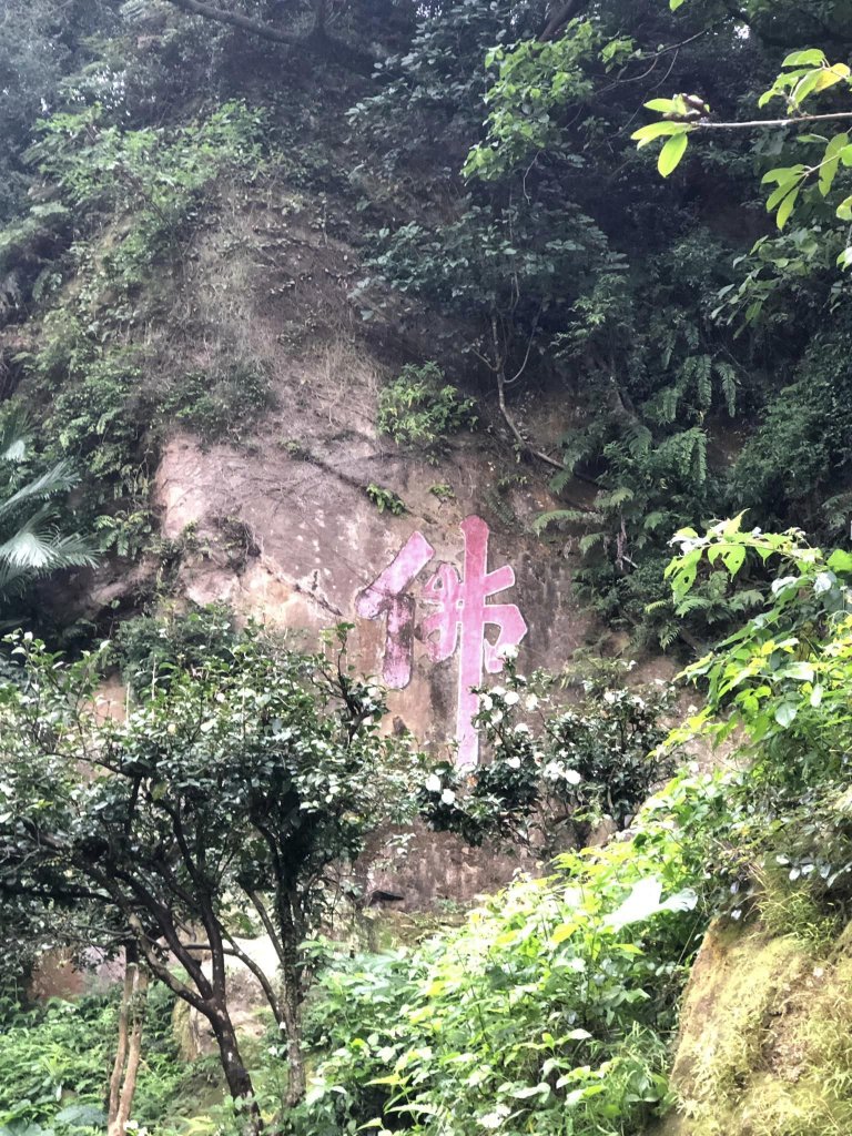 20221204鶯歌石雲森林步道封面圖