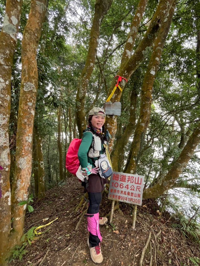 苗栗/馬那細道邦山-烏嘎彥竹林-水雲三星-鳥嘴山_2926992
