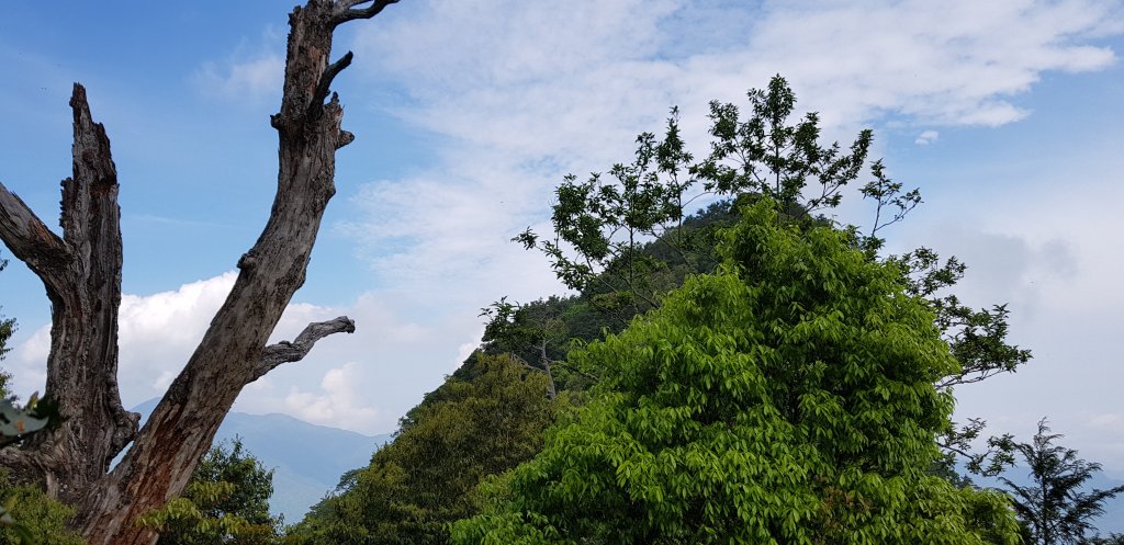 復興三尖之夫婦山封面圖