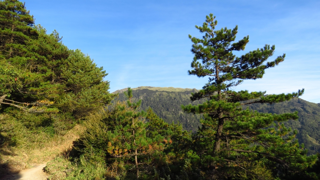 超越自我奇萊南華行_24236