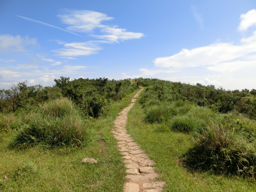 風櫃嘴．頂山．石梯嶺．擎天崗_94345