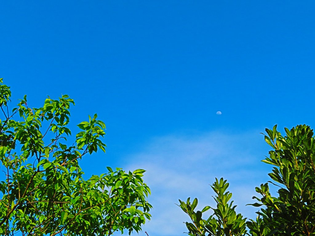 【台北北投】走十八份水圳步道 賞觀音山夕照_1743786