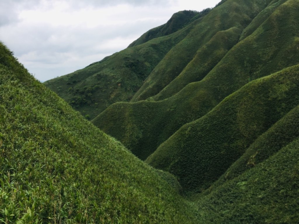 抹茶山&三角崙山封面圖