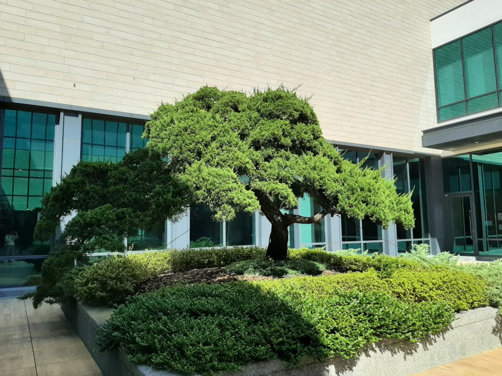 徜徉於城市的新與舊之交_2648879