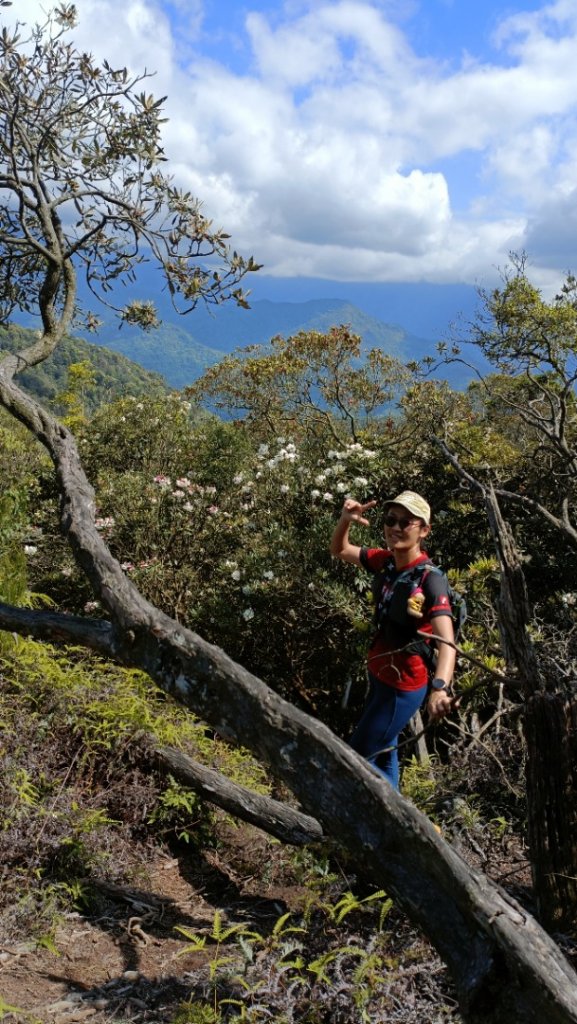 橫屏山~獅凸魯山~舊武界越山~ 埋石山2022年4月5日_1663974