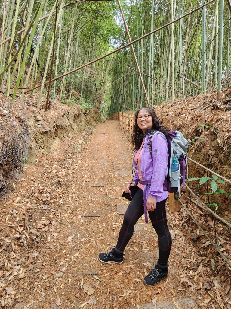 112/2/11芝生毛台山、屯野生炮台_2148008