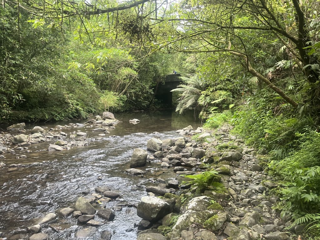 [淡蘭古道] 2024_0623 中路第五段-烏山越嶺古道_2533834