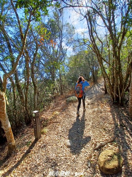 【台中。新社】景觀多樣好健身。大坑 5-1步道上，五號步道下_1585440