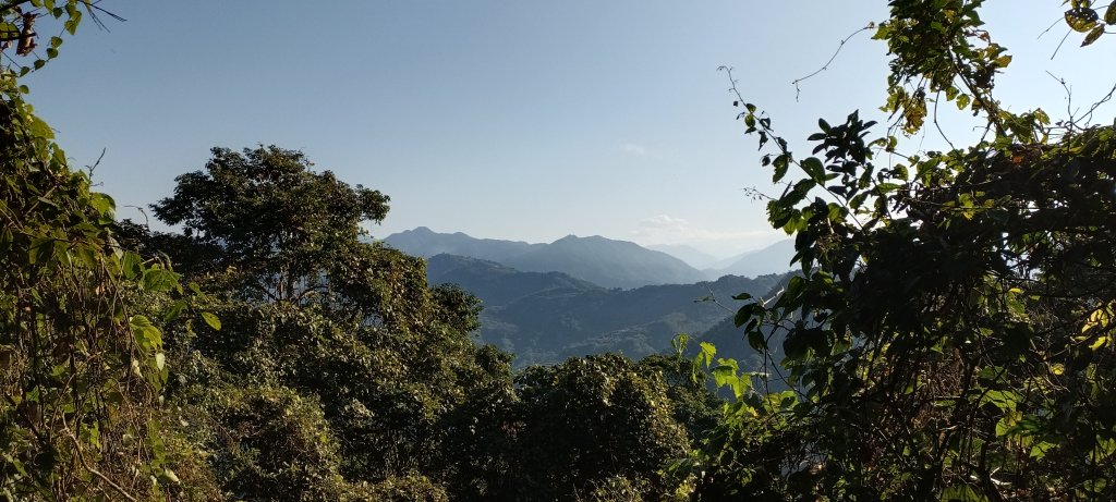 20240224_馬那邦山、細道邦山步道_2436114