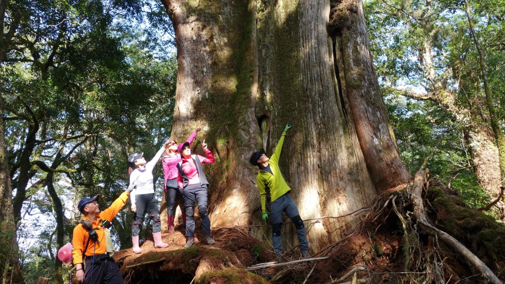 雲端上的羅馬假期 _33885
