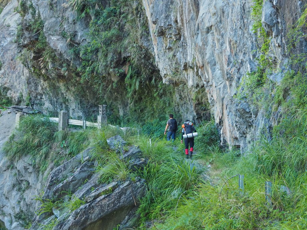 [百岳]能高越嶺逆走與奇萊南峰_1042680