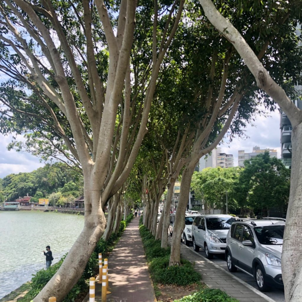 28.碧湖環湖、陽光暖暖微風吹拂_1662738