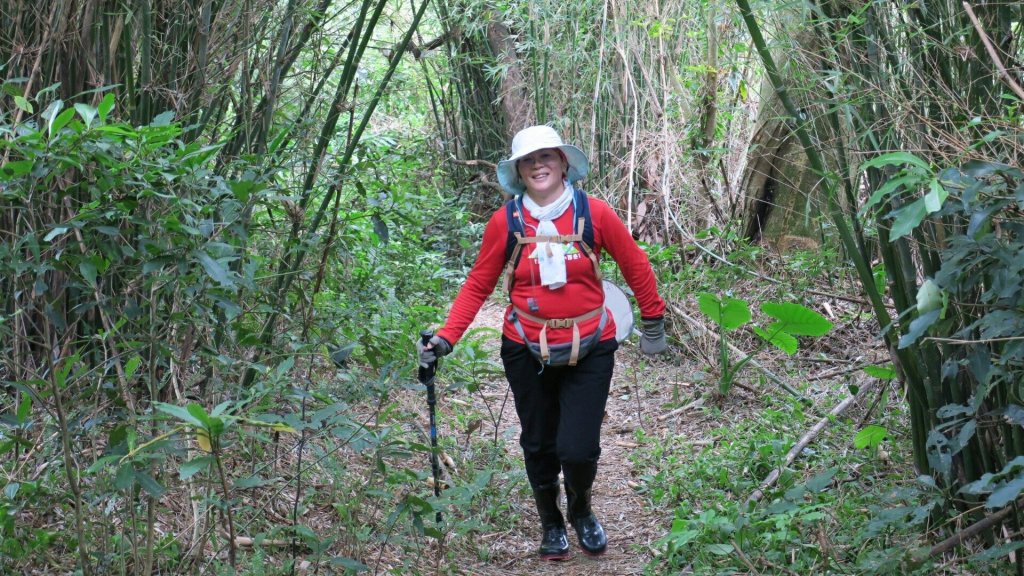 七星主東芒花盛開_461308