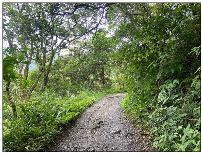 聖母峰、三角崙山 (抹茶山) 連走_2802183