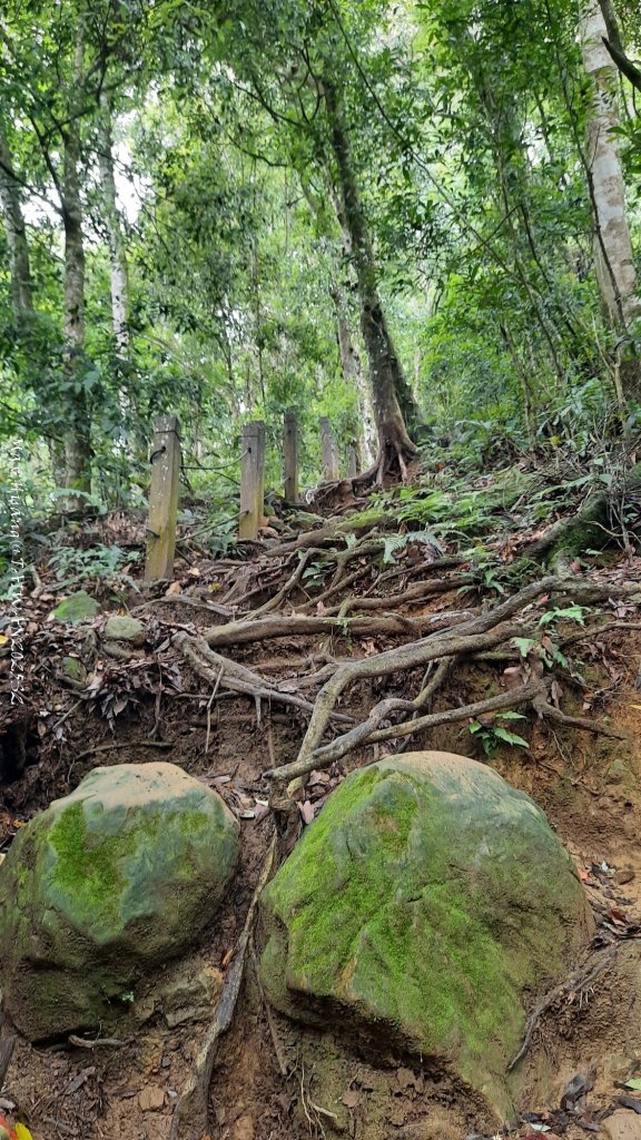 《雲林》望好望角｜石壁山嘉南雲峰步道(中側登山口）20250607_2805331